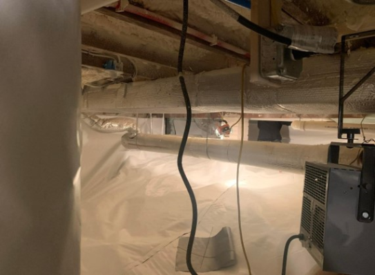 basement ceiling during basement waterproof interior project
